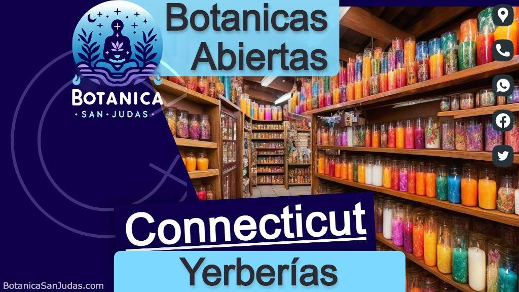 Descubre las botánicas y yerberías abiertas en Connecticut