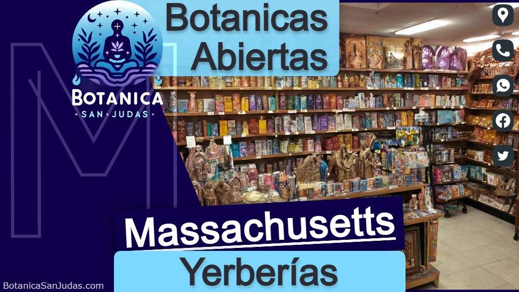 Encuentra las mejores botanicas y yerberias abiertas en Massachusetts
